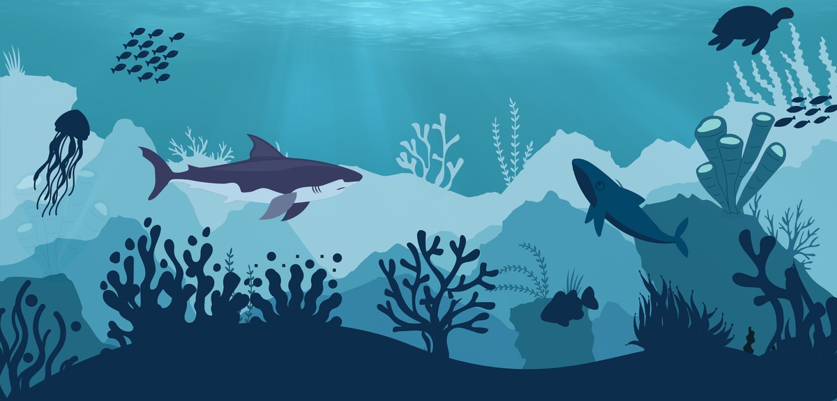 Le monde aquatique