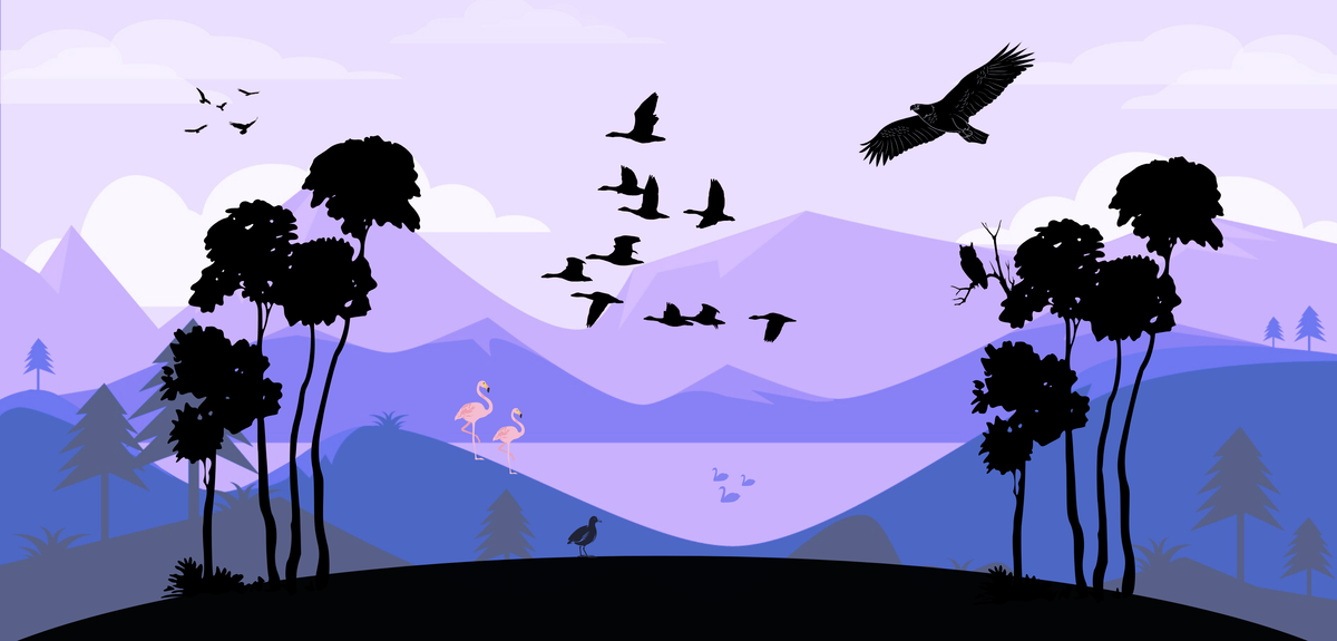 Le monde des airs